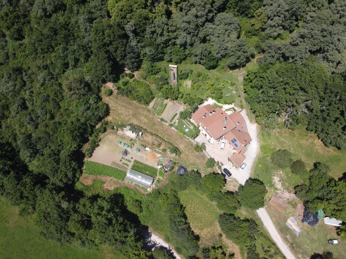 Apartamentos Rurales Casa Lafuente Luquiano ภายนอก รูปภาพ